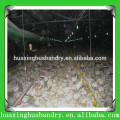 Chicken house farm construction building broiler poultry shed design